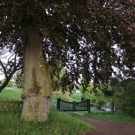 Haus Antje 別荘 Lalendorf